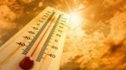 Θερμοπληξία και άλλες θερμικές παθολογικές καταστάσεις