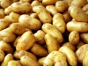 Κατάσχεση 7,2 τόνων πατάτας ακατάλληλων για κατανάλωση