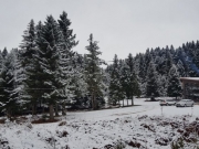 Χιόνια στα ορεινά των Τρικάλων, Καρδίτσας