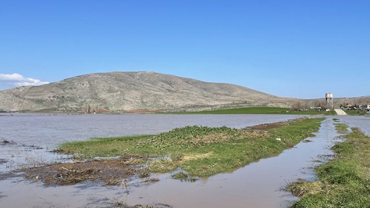 Πλημμύρισαν 10.000 στρέμματα  καλλιεργειών στα Φάρσαλα