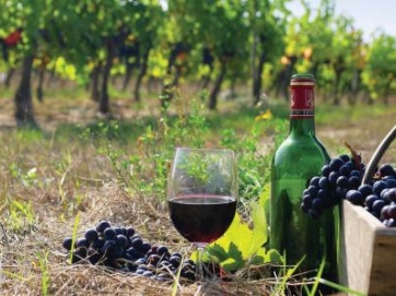 Διεθνές συμπόσιο της UNESCO για το κρασί στη Σαντορίνη