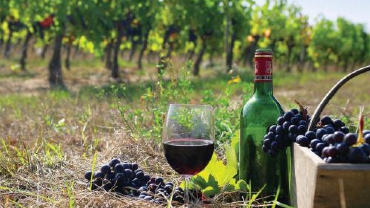 Διεθνές συμπόσιο της UNESCO για το κρασί στη Σαντορίνη