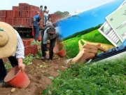 Εως 5.000 ευρώ εισόδημα δηλώνουν οι αγρότες