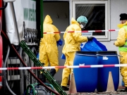 Γαλλία: Χιλιάδες πάπιες θανατώθηκαν έπειτα από κρούσματα της γρίπης των πτηνών