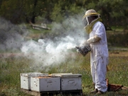 Ημερίδα και συνέλευση Μελισσοκομικού Συλλόγου Λάρισας