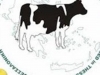 Εθνική στρατηγική για τη γαλακτοπαραγωγό αγελαδοτροφία