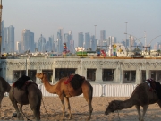 Από τον θεσσαλικό κάμπο στην έρημο του Κατάρ