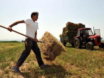 Τα μέτρα της κυβέρνησης για τη στήριξη του αγροτικού κόσμου