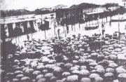 Εκλογές στη Λάρισα του 1910