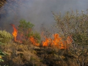 Φωτιά σε δύσβατη περιοχή στην Κάρυστο