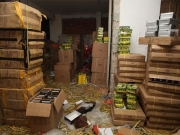 Χιλιάδες προϊόντα «μαϊμού» κατασχέθηκαν σε εμπορικά καταστήματα Θεσσαλονίκης