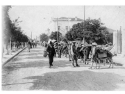 Ανναμίτες στρατιώτες με τα ζώα τους συγκεντρωμένοι κατά μήκος της οδού Ακροπόλεως (Παπαναστασίου). Ιούνιος 1917. Φωτογραφία του Υπουργείου Πολιτισμού της Γαλλίας