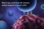 Έλληνες ερευνητές πιο κοντά στην ανοσοθεραπεία του καρκίνου