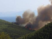 Πυρκαγιά καίει πεύκα  στον Αμάραντο Σκοπέλου