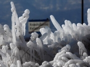 Νέο κύμα χιονιά στη Δυτική Θεσσαλία