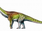 Ο Παταγοτιτάν πλέον ο μεγαλύτερος δεινόσαυρος