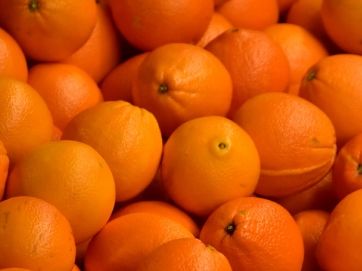 Στην τρίτη θέση η Ελλάδα στις εισαγωγές πορτοκαλιών στη Γερμανία
