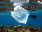 Επικίνδυνη για το περιβάλλον και τη δημόσια υγεία η χρήση πλαστικής σακούλας