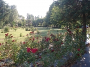 Ο βοτανικός κήπος των «Ενεργών Πολιτών» Φαρσάλων