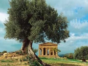 Η Σικελία καλεί τον οίκο Gucci στους αρχαιοελληνικούς ναούς της
