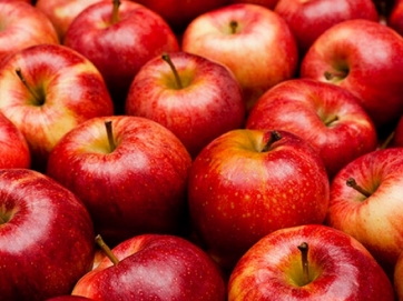 Ημερίδα για το μήλο Αγιάς