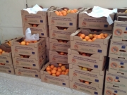 Διανομή φρούτων σε όλα τα σχολεία Νοτίου Πηλίου
