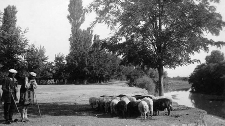 Μια ειδυλλιακή ποιμενική άποψη στην περιοχή του Αλκαζάρ. Η περιοχή με την άφθονη βλάστηση αριστερά αποτυπώνει ένα μέρος από τον Κήπο Παπασταύρου. Επιστολικό δελτάριο των Γκηνάκου και Μαργαρίτη. Αρχές δεκαετίας του 1930.