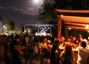 Μουσικό φεστιβάλ στην Ελασσόνα