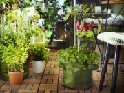 IKEA: Φροντίζουμε τα φυτά μας μαζί!