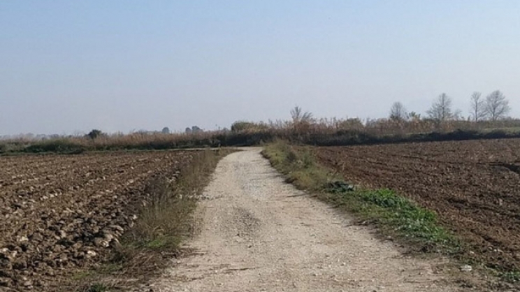 Οδοί πρόσβασης  σε αγροτικές  εκμεταλλεύσεις