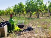 Στοχευμένες ενέργειες προβολής του ελληνικού κρασιού