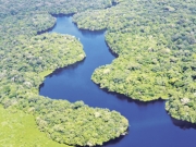 Με κατάρρευση κινδυνεύει το οικοσύστημα του Αμαζονίου