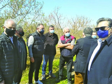 Τηλεδιάσκεψη για τις ζημιές  στα δέντρα συγκαλεί ο Δήμος Τεμπών