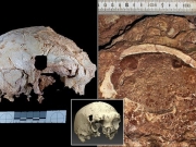 Ανθρώπινο κρανίο 400 χιλιάδων ετών
