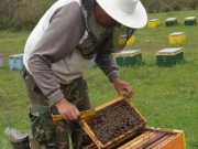 Γενική συνέλευση των Μελισσοκόμων Καρδίτσας