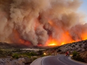 Η Χίος (φωτ.) και η Θάσος δοκιμάστηκαν φέτος από τις πυρκαγιές περισσότερο από κάθε άλλη περιοχή στη χώρα