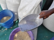 Δύο νεκροί από δημητριακά... του ΟΗΕ στην Ουγκάντα