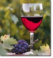 Γιορτή Κρασιού και Αμπελιού στη Ραψάνη
