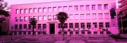 Στα «ροζ» θα φωτιστεί το κτίριο Κατσίγρα