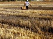 Στα τέλη Νοεμβρίου το 70% της ενιαίας ενίσχυσης στους αγρότες