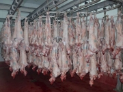 Ποιότητα και ασφάλεια στην αγορά κρέατος