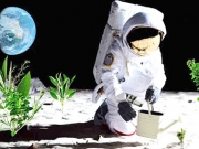 Eτοιμάζονται να καλλιεργήσουν φυτά στη Σελήνη