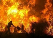 «Δασικές πυρκαγιές: κάθε χρόνο και νωρίτερα»