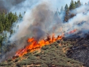 Πυροσβεστική: 60 αγροτοδασικές πυρκαγιές το τελευταίο 24ωρο