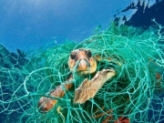 H συγκινητική απελευθέρωση μιας θαλάσσιας χελώνας από δίχτυα (video)