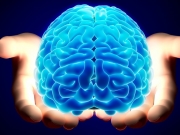 Τι συμβαίνει στον εγκέφαλο μας όταν μαθαίνουμε κάτι;