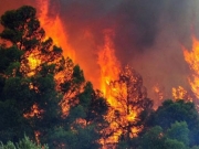 Ενημερώνονται οι πολίτες για τις δασικές πυρκαγιές