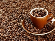 Απειλείται η παραγωγή του καφέ