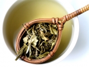 Λευκό τσάι: χαρίζει υγεία και ομορφιά