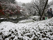 Χιόνι έκπληξη στο Τόκιο